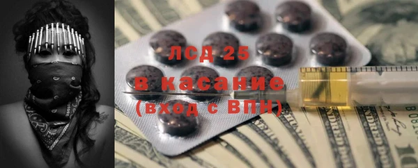 шишки Вяземский