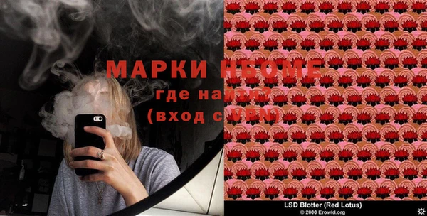 шишки Вяземский