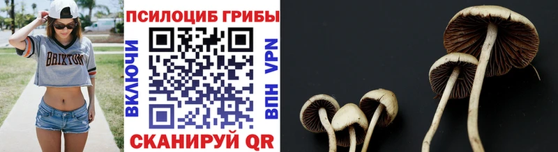 Псилоцибиновые грибы прущие грибы  Заволжск 