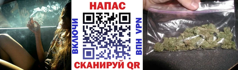 магазин  наркотиков  KRAKEN вход  Шишки марихуана SATIVA & INDICA  Заволжск 